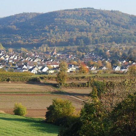 Hildastrasse 1 Appart.2 Friesenheim  Luaran gambar